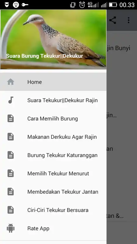 Play Suara Burung Tekukur||Dekukur